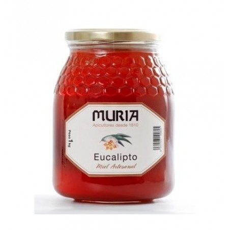 Buy Artisan eucalyptus honey Muria